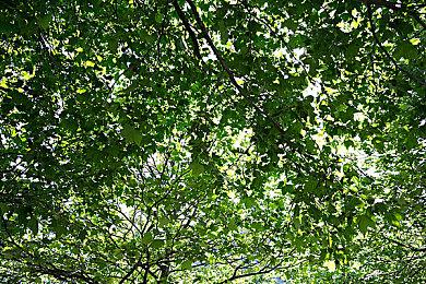 传《霍格沃兹的传承》将再次跳票 2023年发售